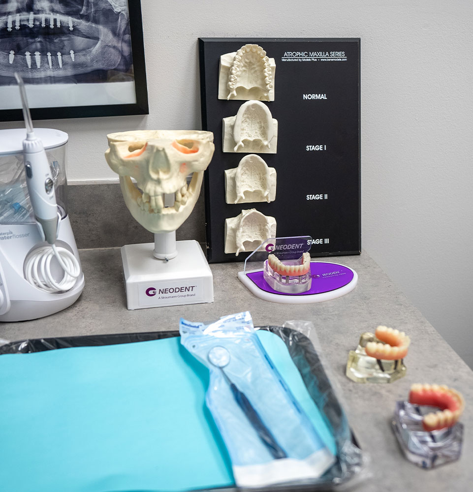 full arch model being shown